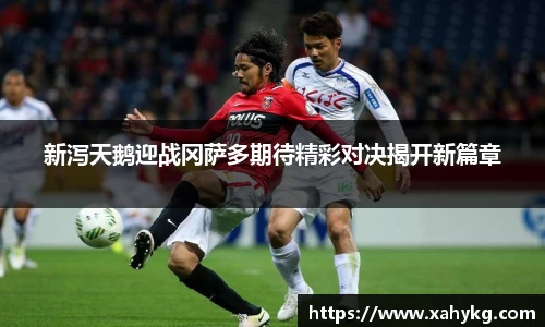 新泻天鹅迎战冈萨多期待精彩对决揭开新篇章